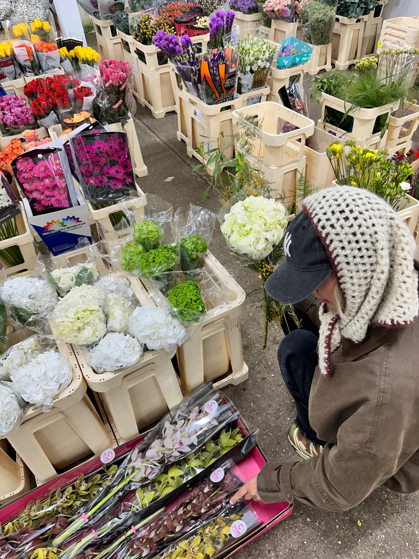 Market Run, Process